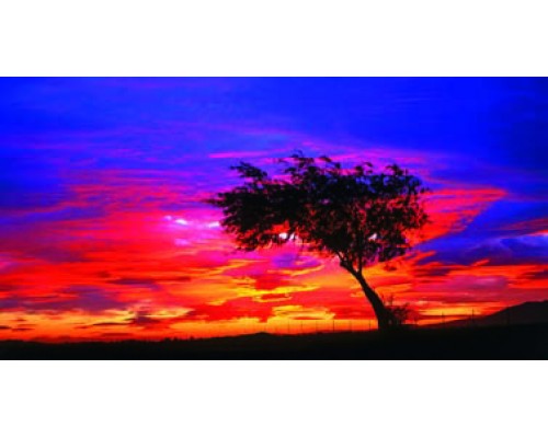 Desk Calendar DC2